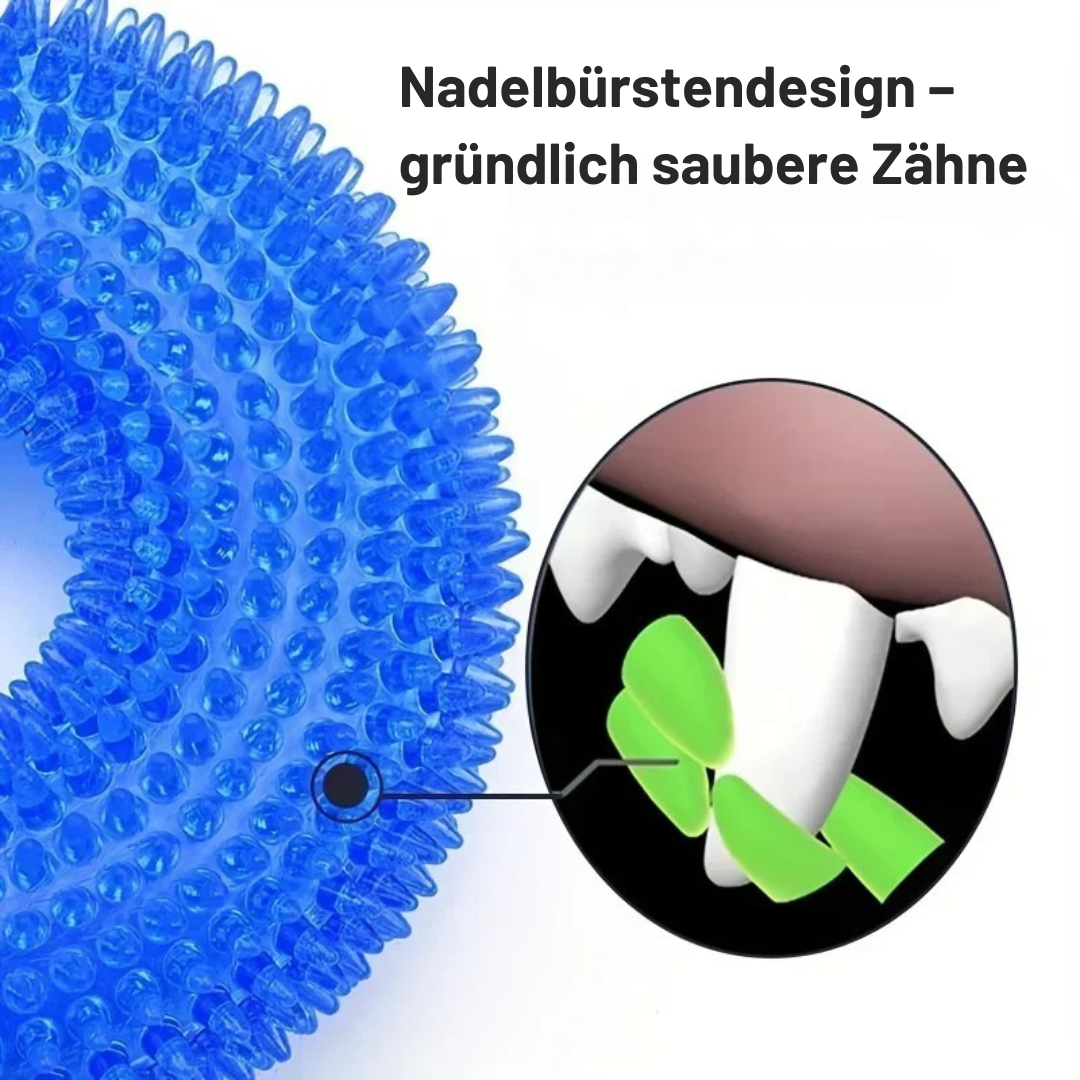Spiky Dental Kau-Ring für Hunde – 10 cm Ø, robustes TPR-Gummi