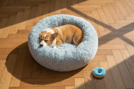 Warum ein Donut Hundebett die beste Wahl für deinen Hund ist