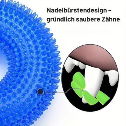 Spiky Dental Kau-Ring für Hunde – 10 cm Ø, robustes TPR-Gummi