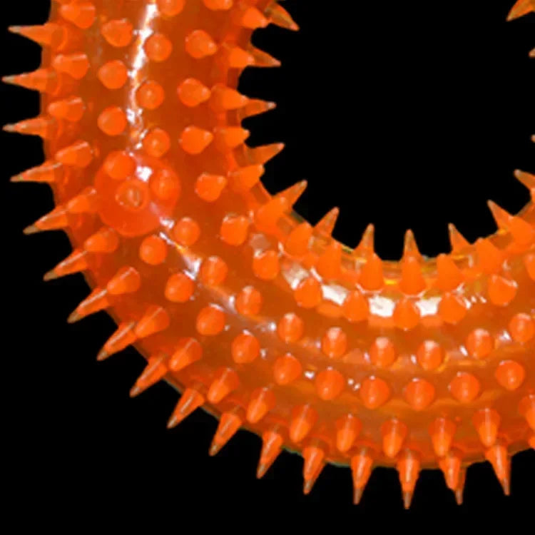 Spiky Dental Kau-Ring für Hunde – 10 cm Ø, robustes TPR-Gummi