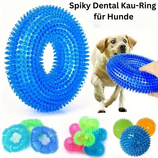 Spiky Dental Kau-Ring für Hunde – 10 cm Ø, robustes TPR-Gummi