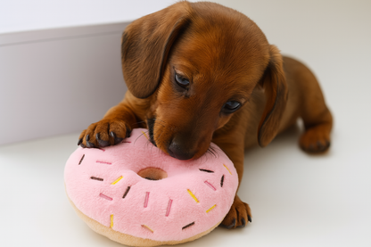 Quietschender Donut-Plüsch für Hunde – Kauspielzeug für kleine & mittelgroße Hunde